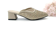 Load image into Gallery viewer, Ladies Slip-On Pointed Toe Heels (35858L)