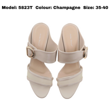 Load image into Gallery viewer, Woman Heels Shoes (5823T)