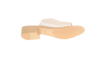 Load image into Gallery viewer, Moda Paolo Women Mules In 2 Colours (34835T)