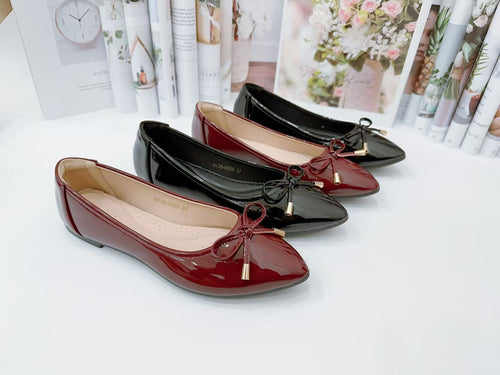 Ladies Flat Shoes Covered Toe Mary Janes Shoes (N135)