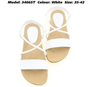 Moda Paolo Women Slides in 2 Colours (34665T)